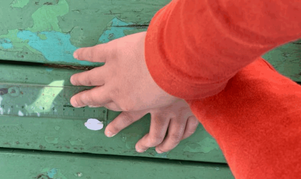 安心できる公園で自然と触れ合いながら、目や耳、手、心を使って楽しい体験をしています。不登校の子どももママも安心できる時間と場所。